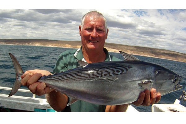 Mackerel tuna