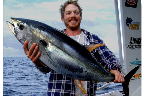 Yellowfin Tuna